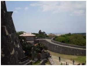 Shuri Jo 2010