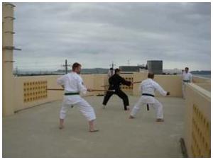 Okinawa 2010 Nunit Bo kata with Tokumura Sensei