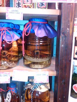 Habu Sake