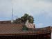 okinawa 2010 (16)